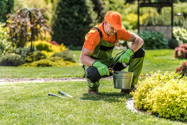 Les meilleures techniques pour un entretien jardin réussi