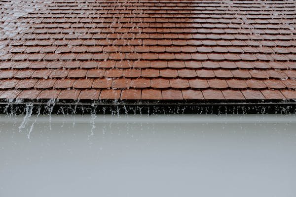 Optimiser la récupération d'eau de pluie en Bourgogne